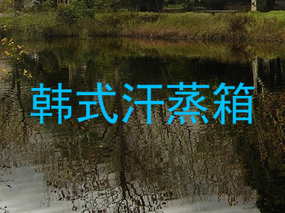 韩式汗蒸箱