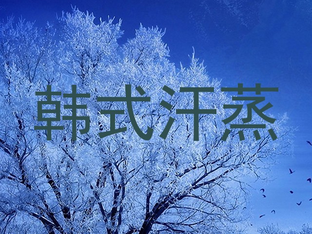 韩式汗蒸