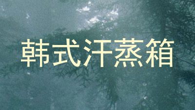 韩式汗蒸箱