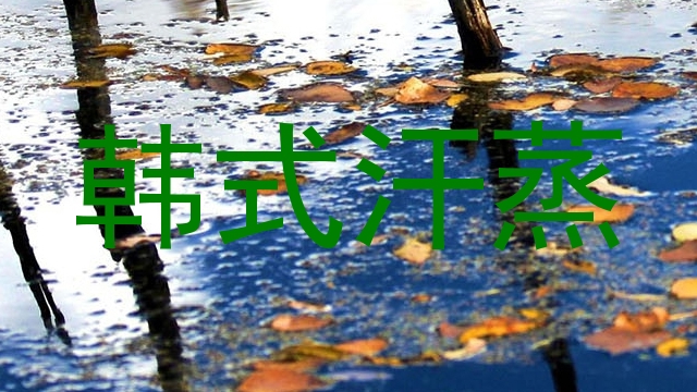 韩式汗蒸