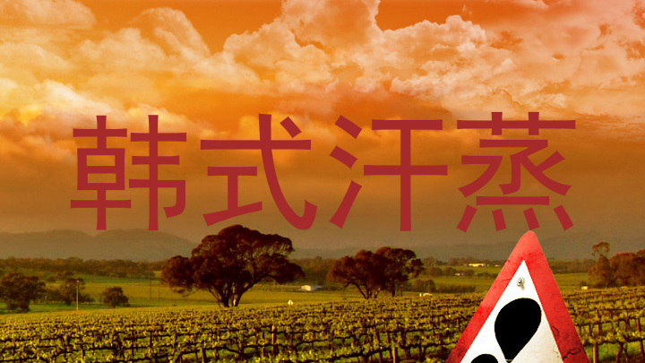 韩式汗蒸