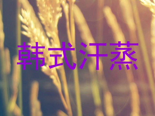 韩式汗蒸