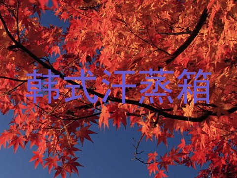 韩式汗蒸箱