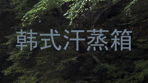 韩式汗蒸箱