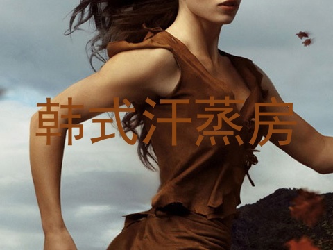韩式汗蒸房
