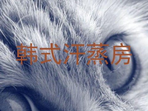 韩式汗蒸房