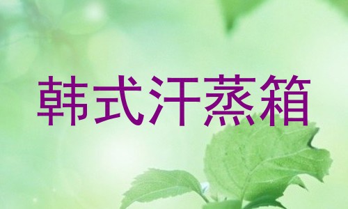 韩式汗蒸箱