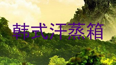 韩式汗蒸箱