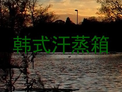 韩式汗蒸箱