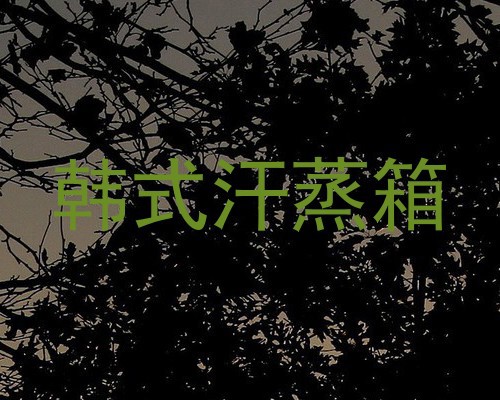 韩式汗蒸箱
