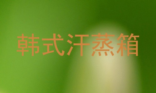 韩式汗蒸箱