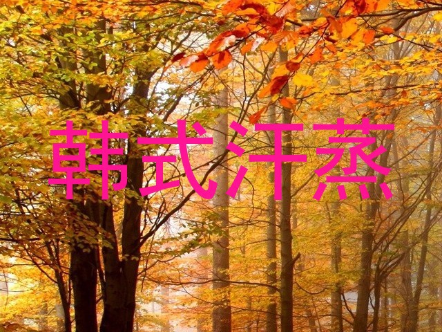 韩式汗蒸