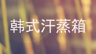 韩式汗蒸箱