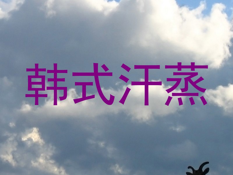 韩式汗蒸