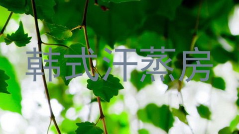 韩式汗蒸房