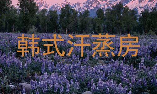韩式汗蒸房