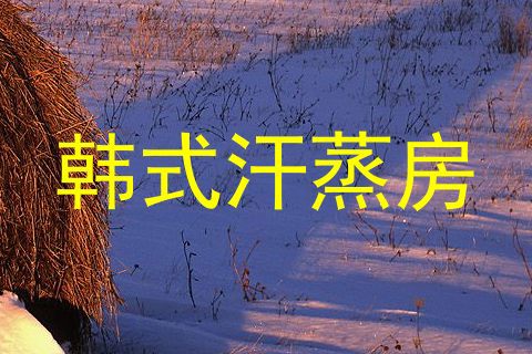 韩式汗蒸房