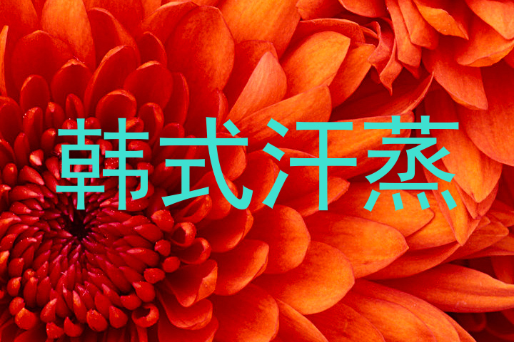 韩式汗蒸