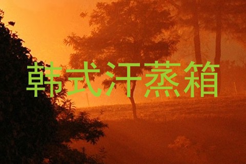 韩式汗蒸箱
