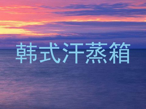 韩式汗蒸箱