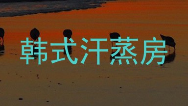 韩式汗蒸房