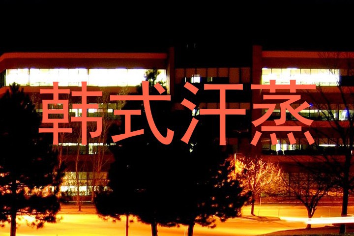 韩式汗蒸