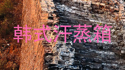 韩式汗蒸箱