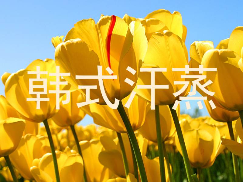 韩式汗蒸