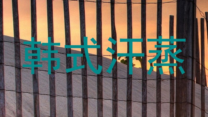 韩式汗蒸