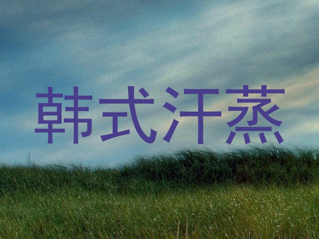 韩式汗蒸
