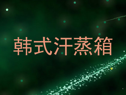 韩式汗蒸箱