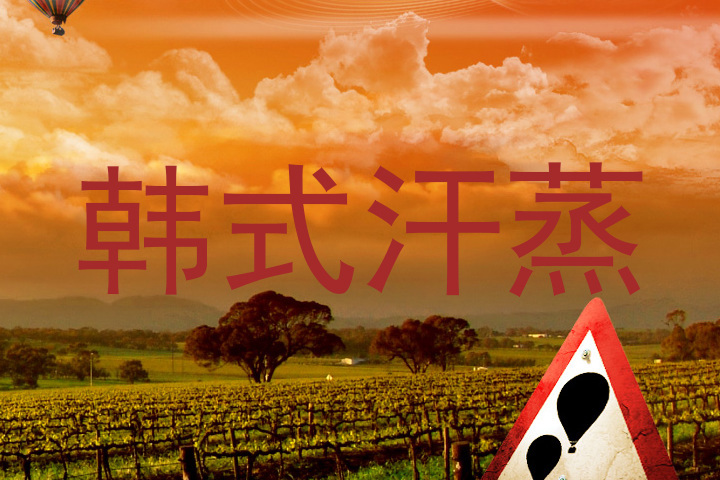 韩式汗蒸