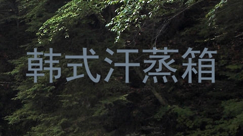 韩式汗蒸箱