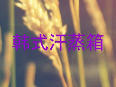 韩式汗蒸箱