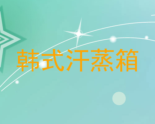 韩式汗蒸箱