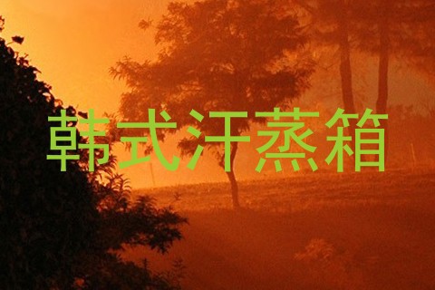 韩式汗蒸箱