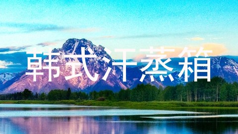 韩式汗蒸箱