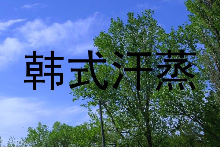 韩式汗蒸