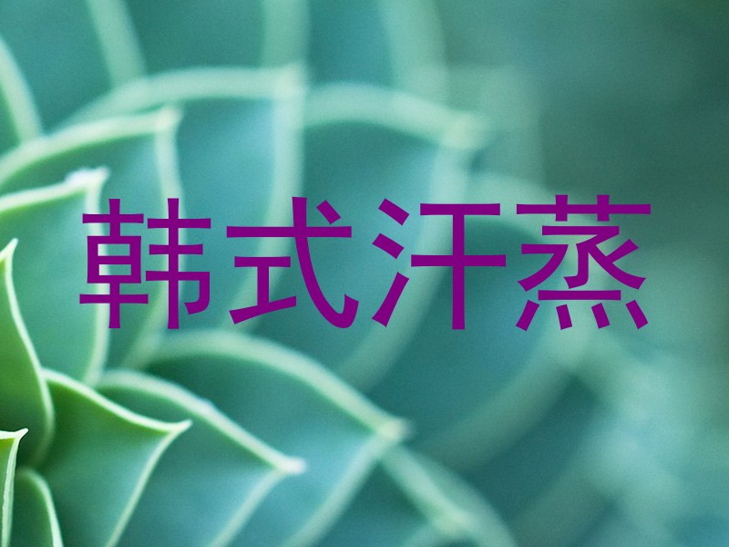 韩式汗蒸