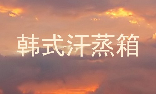 韩式汗蒸箱