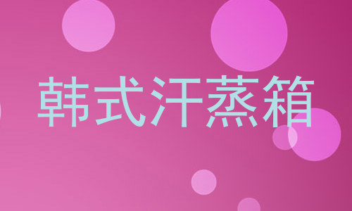 韩式汗蒸箱