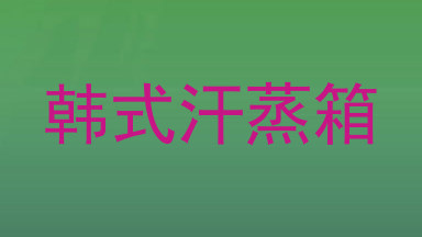 韩式汗蒸箱