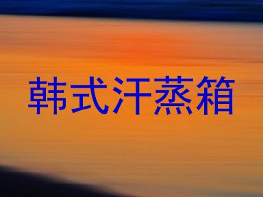 韩式汗蒸箱