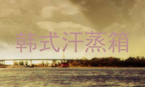 韩式汗蒸箱