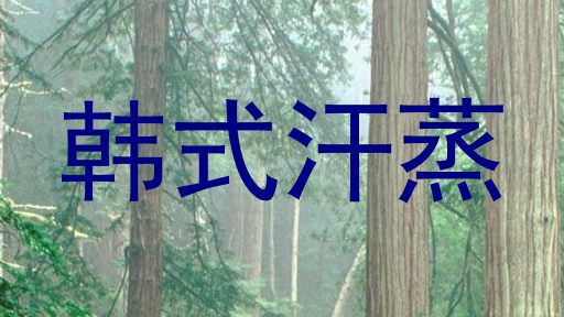 韩式汗蒸