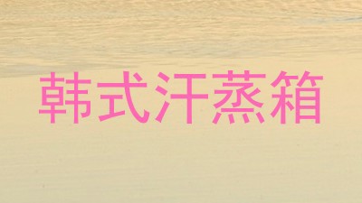 韩式汗蒸箱