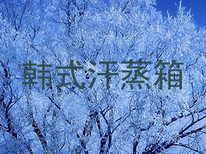 韩式汗蒸箱