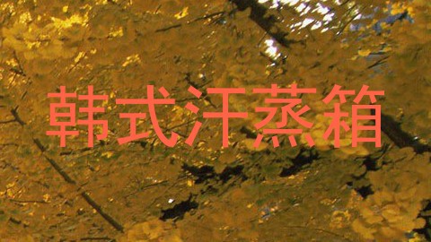 韩式汗蒸箱