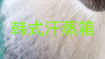 韩式汗蒸箱