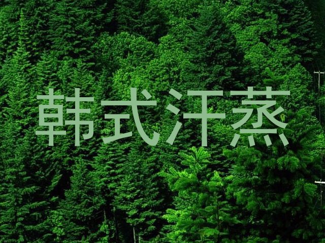 韩式汗蒸